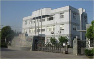 龙鼎包装机械 以专业设备与贴心服务，赋能企业高效包装
